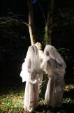 Sous bois 25 * 5184 x 3456 * (5.65MB)